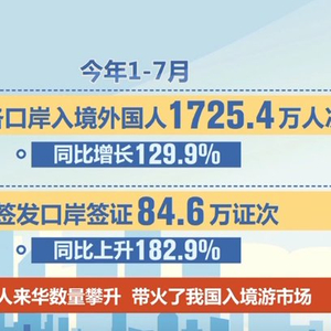 实地考察方案执行