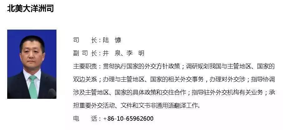 华春莹卸任外交部发言人标准化流程评估_出版93.54.19