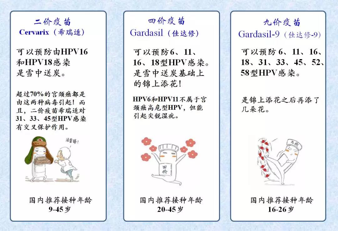 宫颈癌应用解析说明