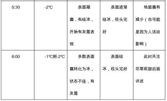 雪天误入重庆山路