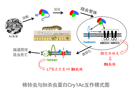 实践性计划实施_LT47.61.54