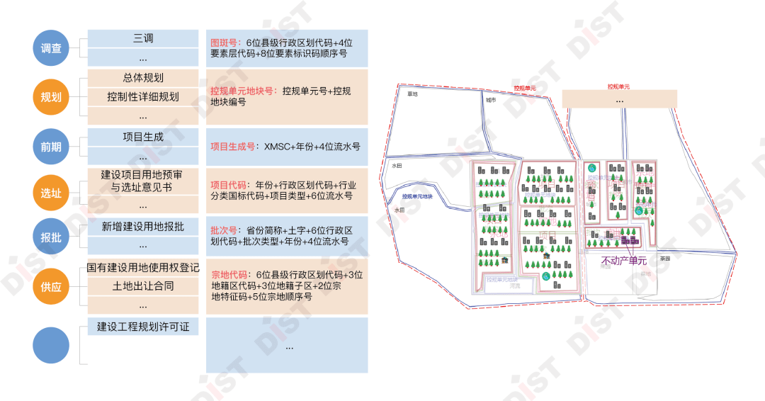 运动版解析