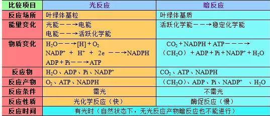 2025新澳门的资料大全涵盖广泛的说明方法_游戏版92.14.19