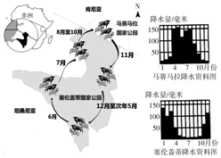 2025年澳门蓝月亮资料诠释分析定义_版荡27.39.61