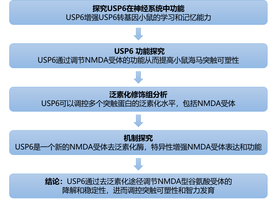 澳门精准免费资料安全性策略解析_pro20.49.56